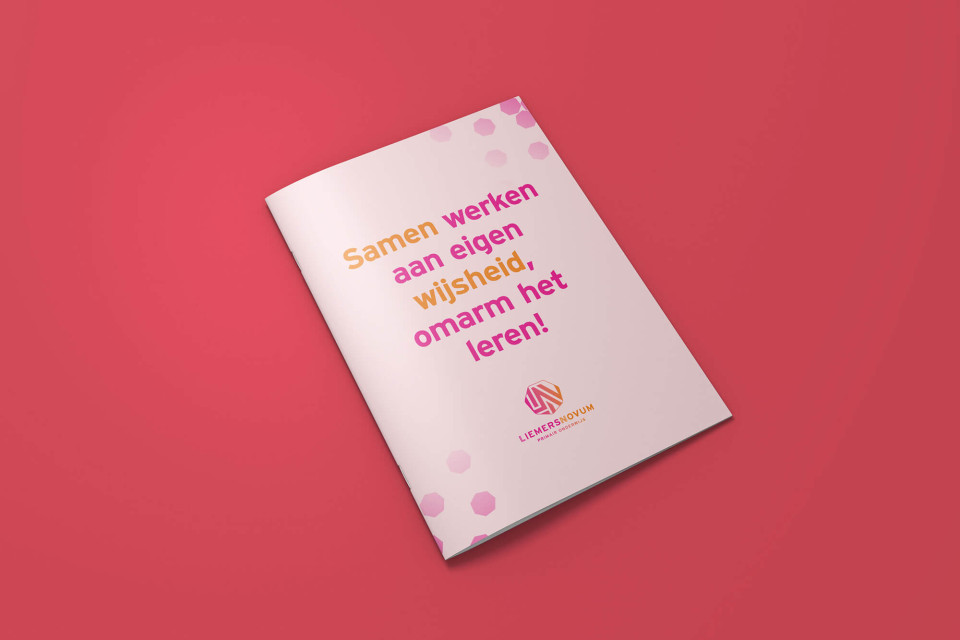 LiemersNovem strategisch beleidsplan